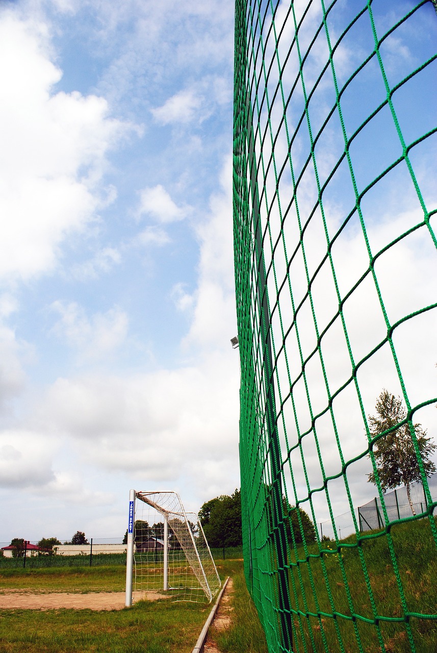 强度的竞技 强度的竞技