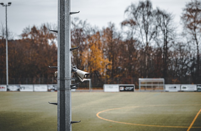 过去几年她 过去几年她