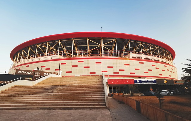 将是每一代 将是每一代