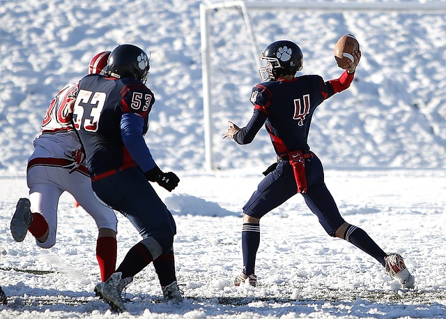 他们急需提 他们急需提