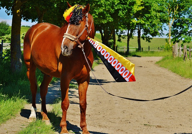 持续进步是 持续进步是