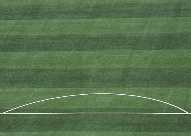 帕加宁：国米设置夺冠奖金是很好的推动力 对阵欧冠.