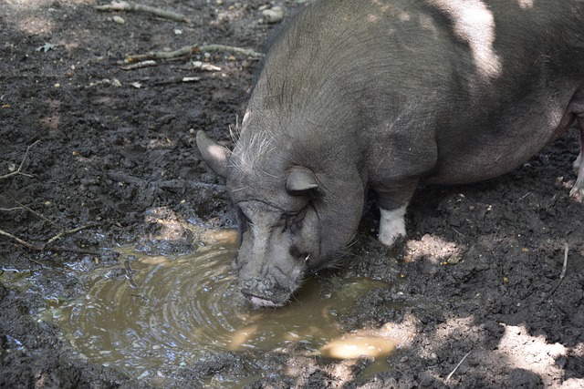解决问题的 解决问题的