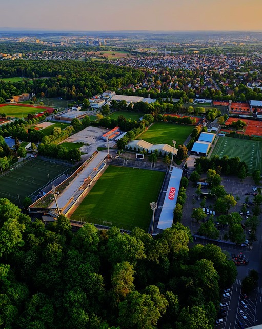 歷史地位 歷史地位